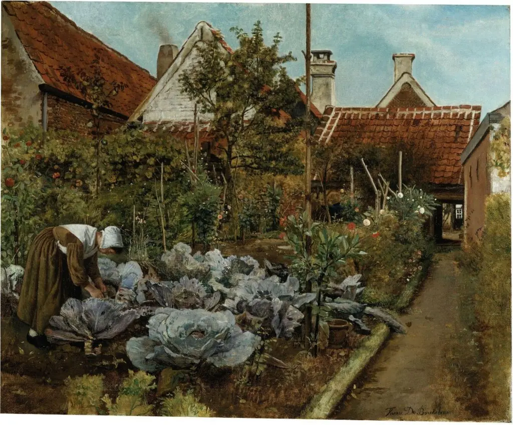The cabbage cutter