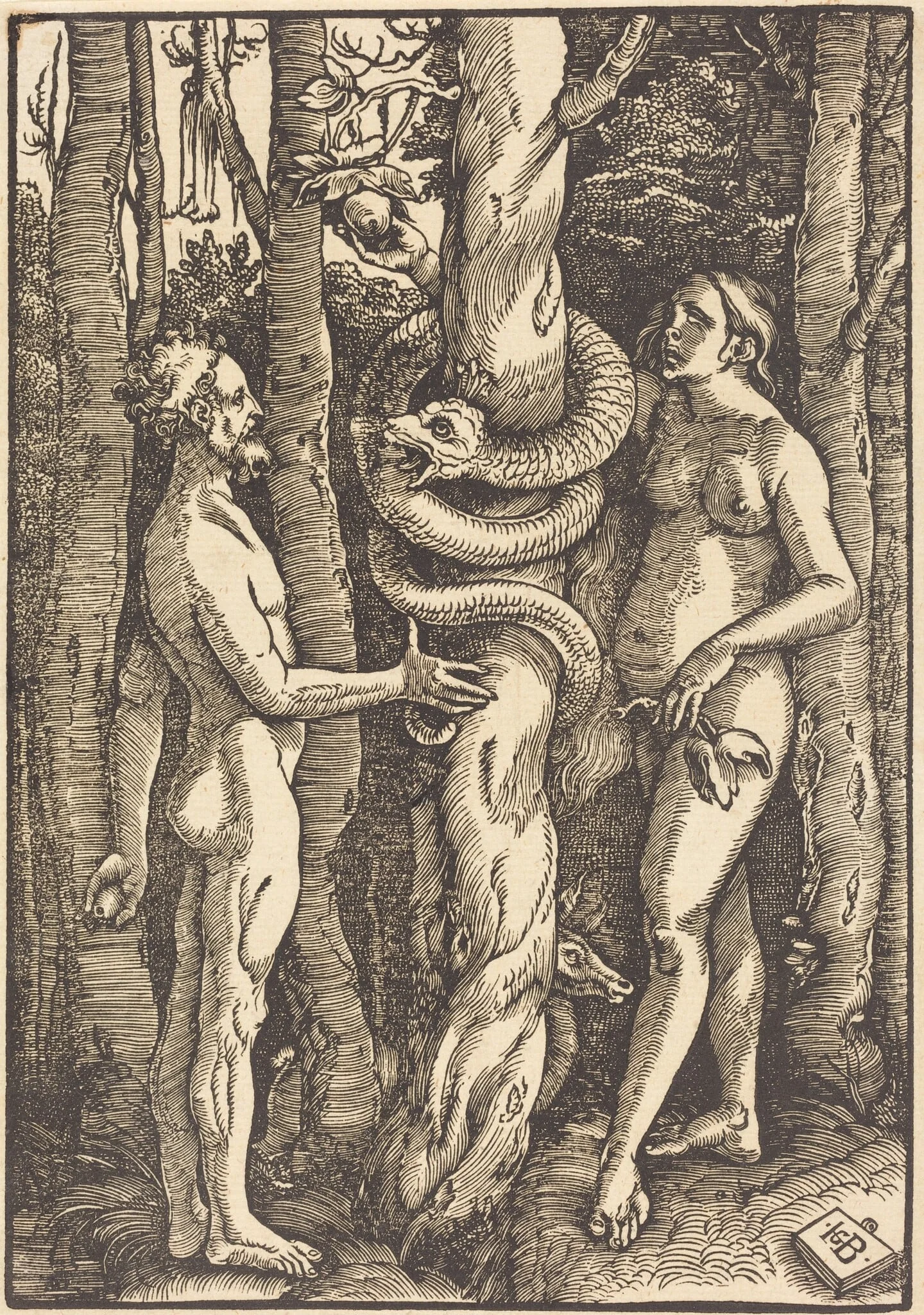Adam and Eve with Serpent, by Hans Baldung Grien, ink, 1514