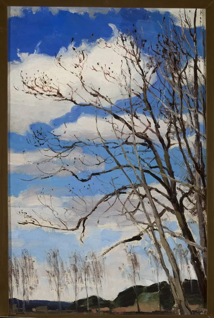 Trees against the sky