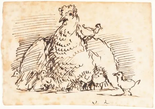 Hens and Chicks