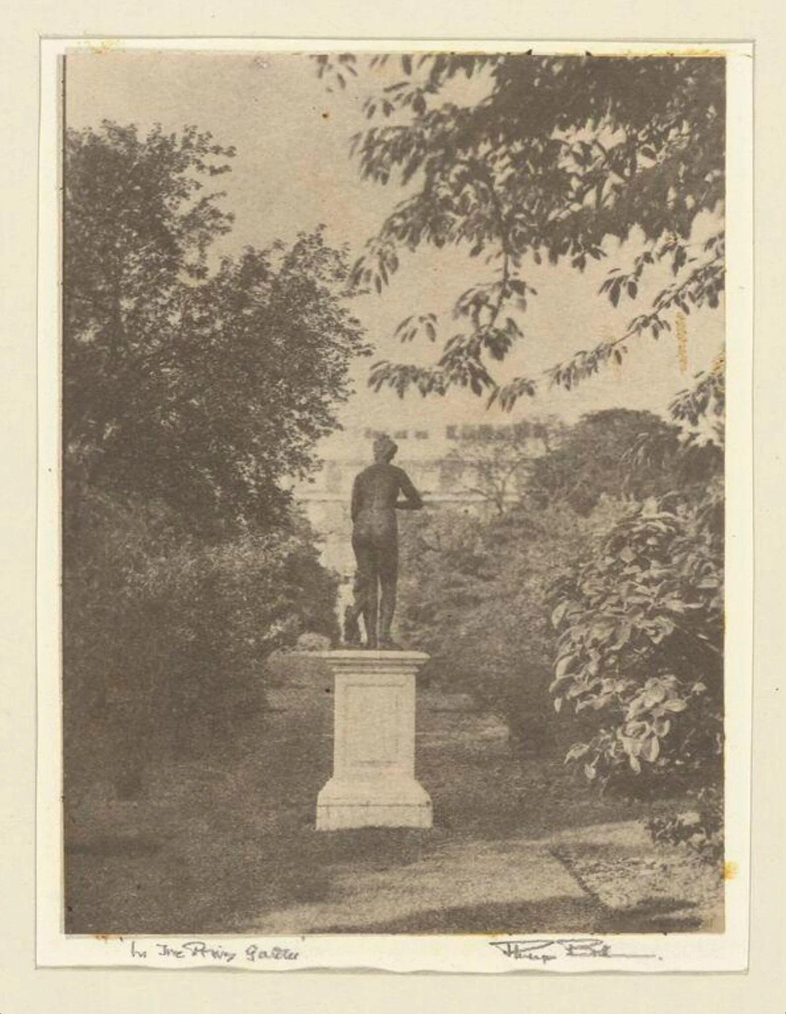 In the Privy Garden, by Philip C. Bull, photographic, 1950