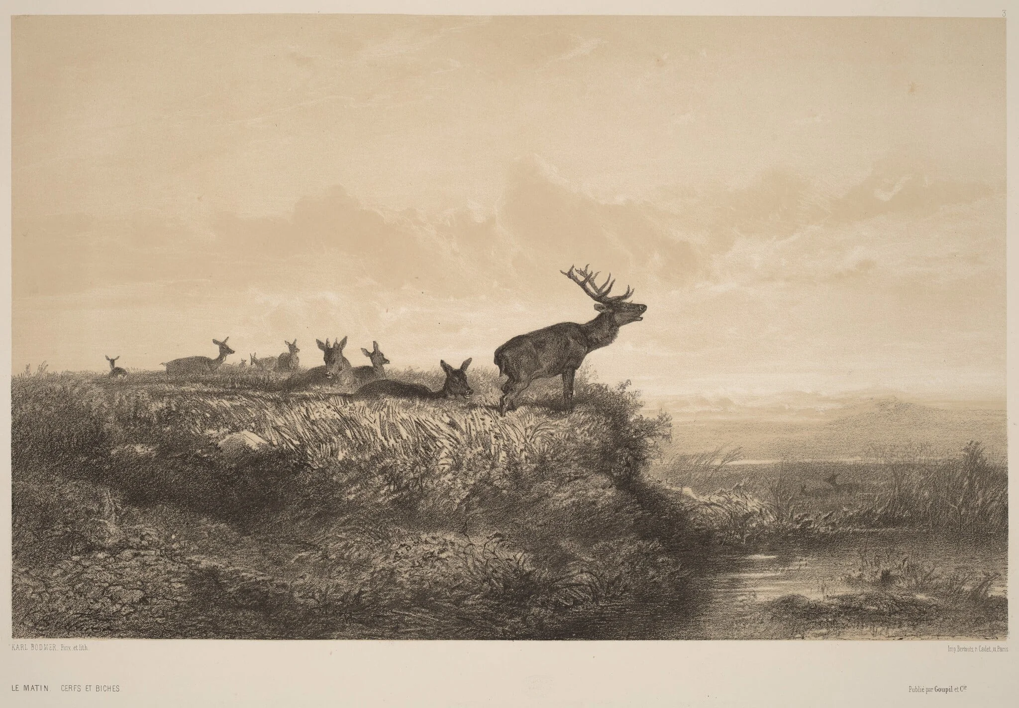 Le Matin, by Karl Bodmer, ink, 1851
