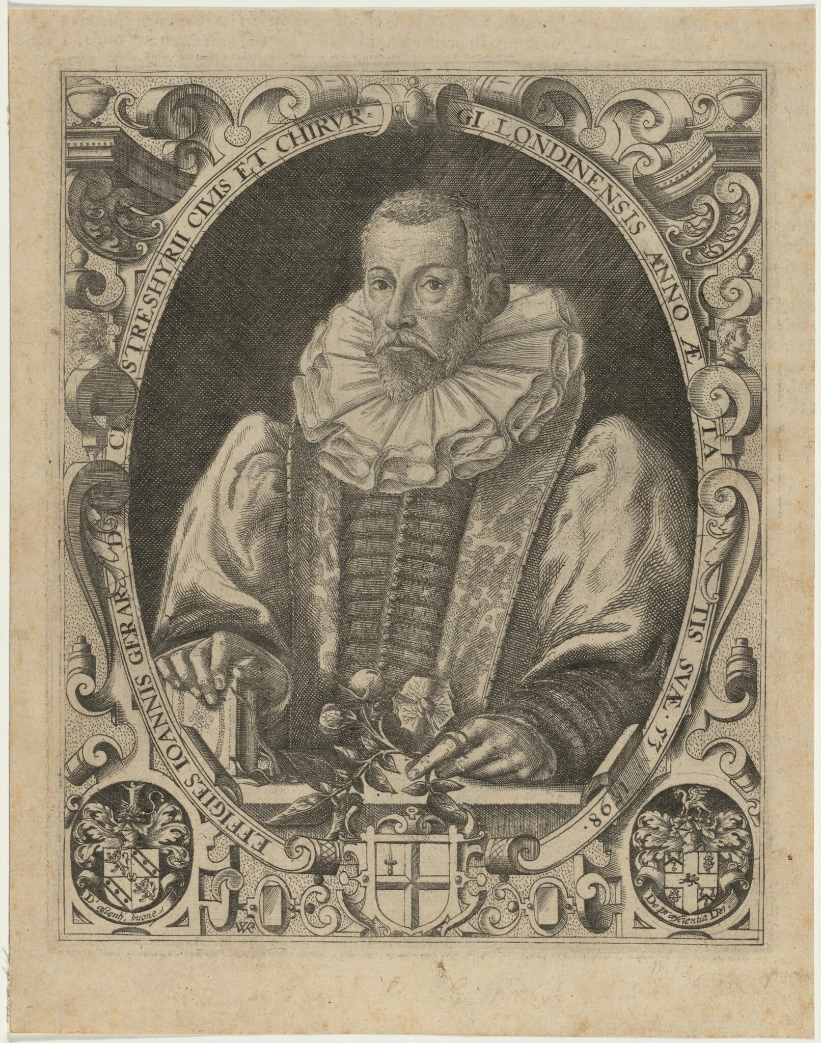 John Gerard, Herbalist, by William Rogers, ink, 1597