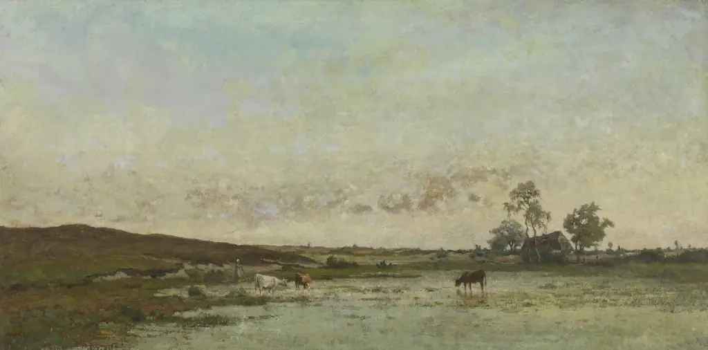 Fen in the Kempen