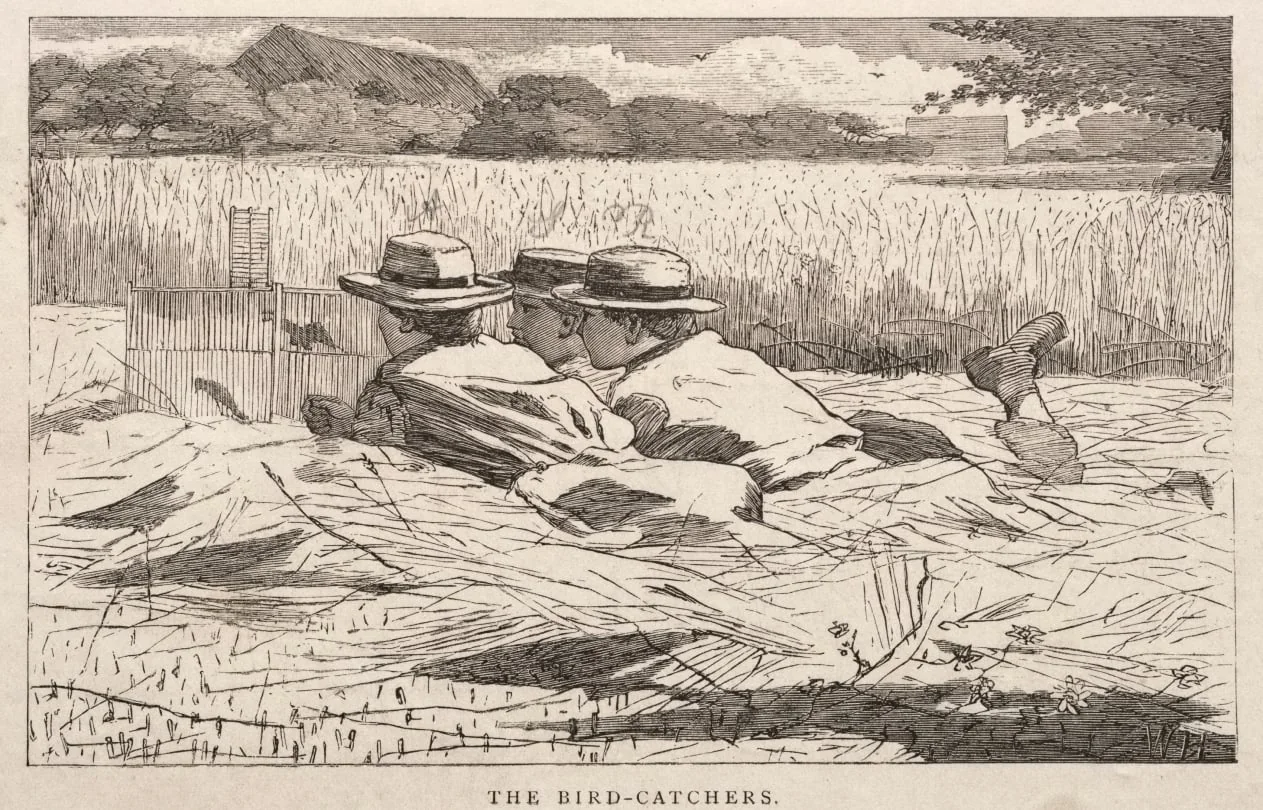 The Bird Catchers, by Winslow Homer, 1867