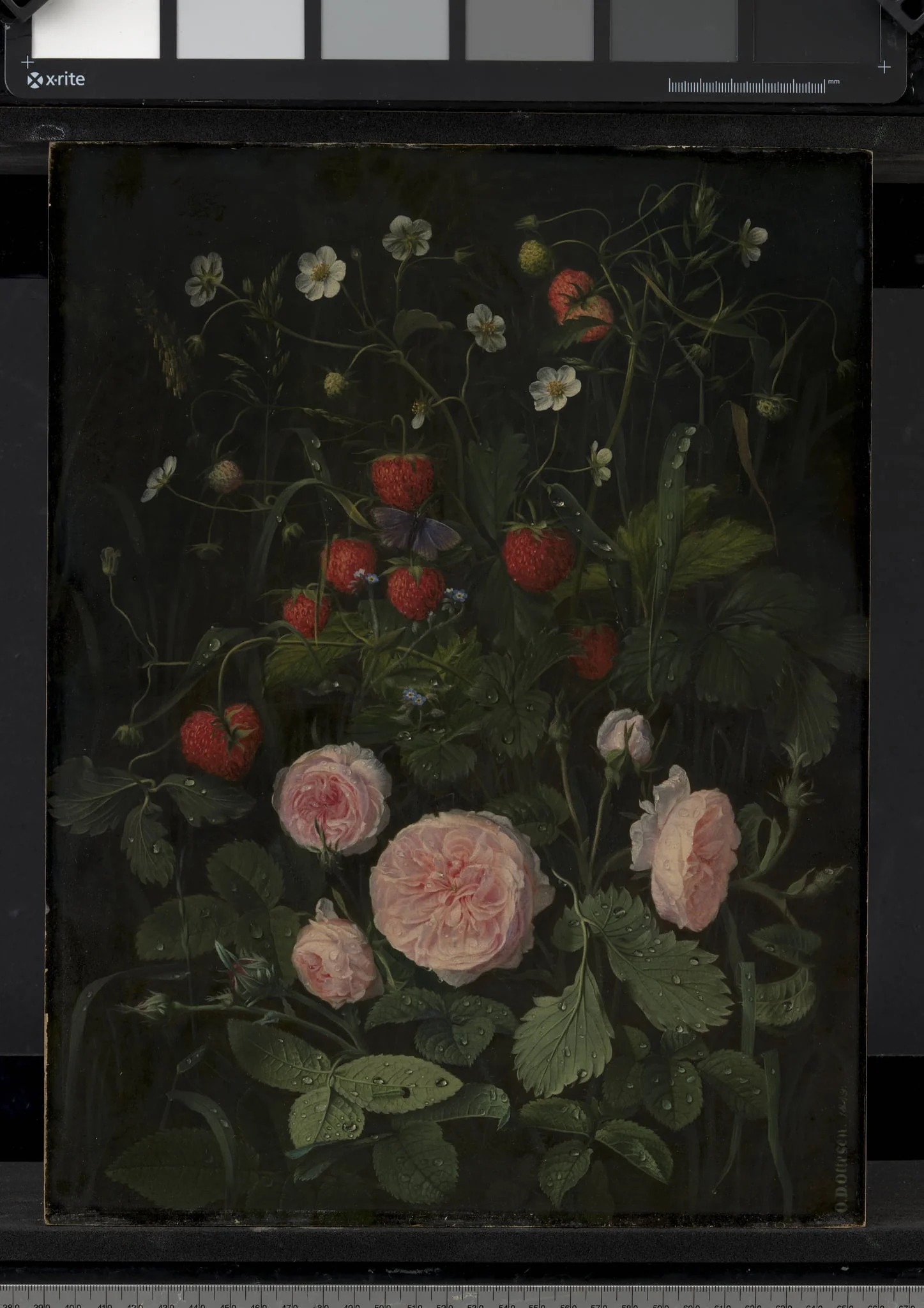 Still Life with Roses and Strawberries, by Unknown, unspecified, 1843