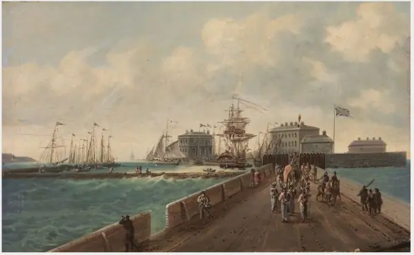 A View of the Pideon House, Dublin