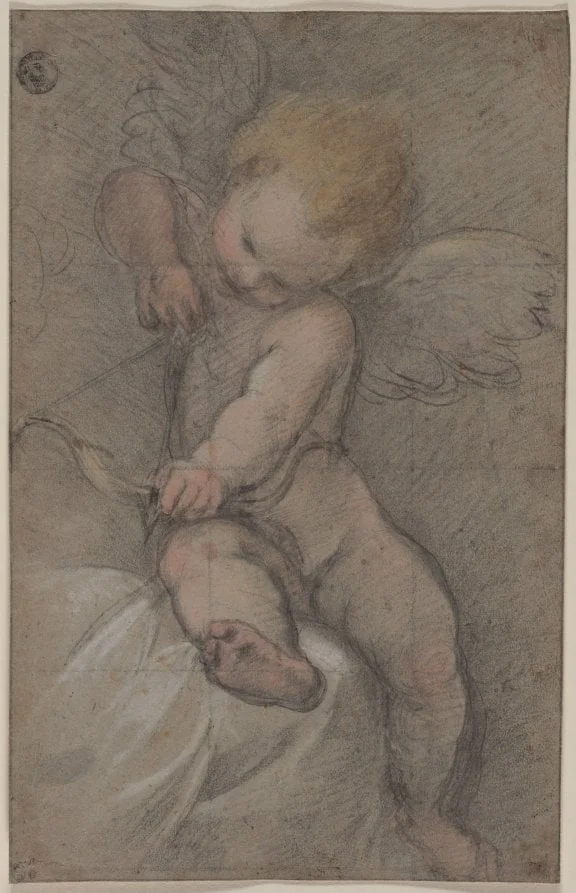 Cupid Drawing His Bow, by Federico Barocci, 1564