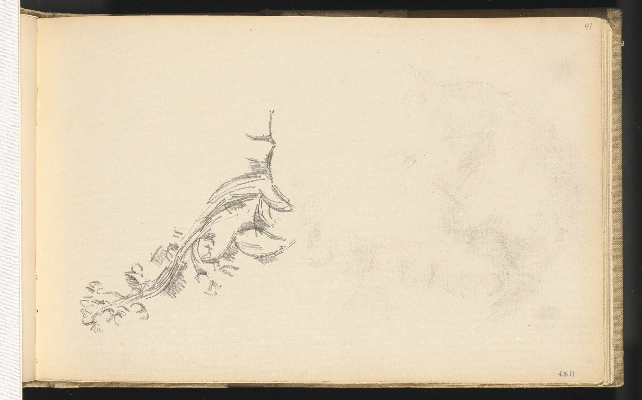 Branch in Flower, by Paul Cezanne, graphite, 1888