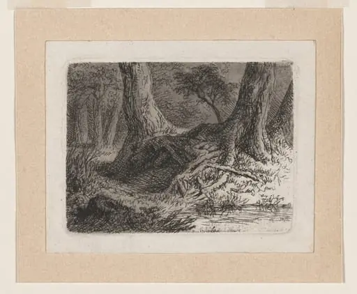Trees with Tangled Roots