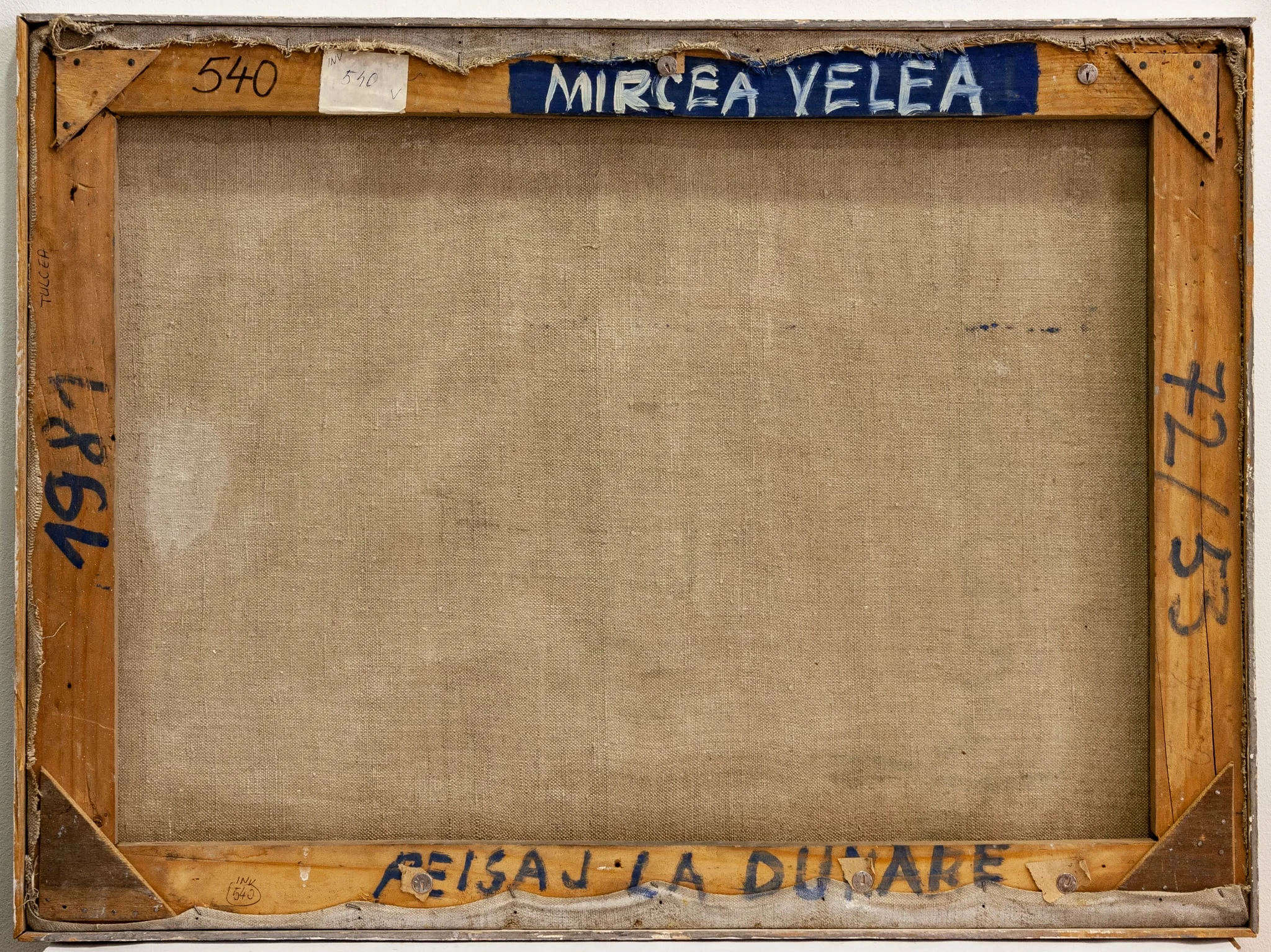 Peisaj la Dunăre, by Velea Mircea
