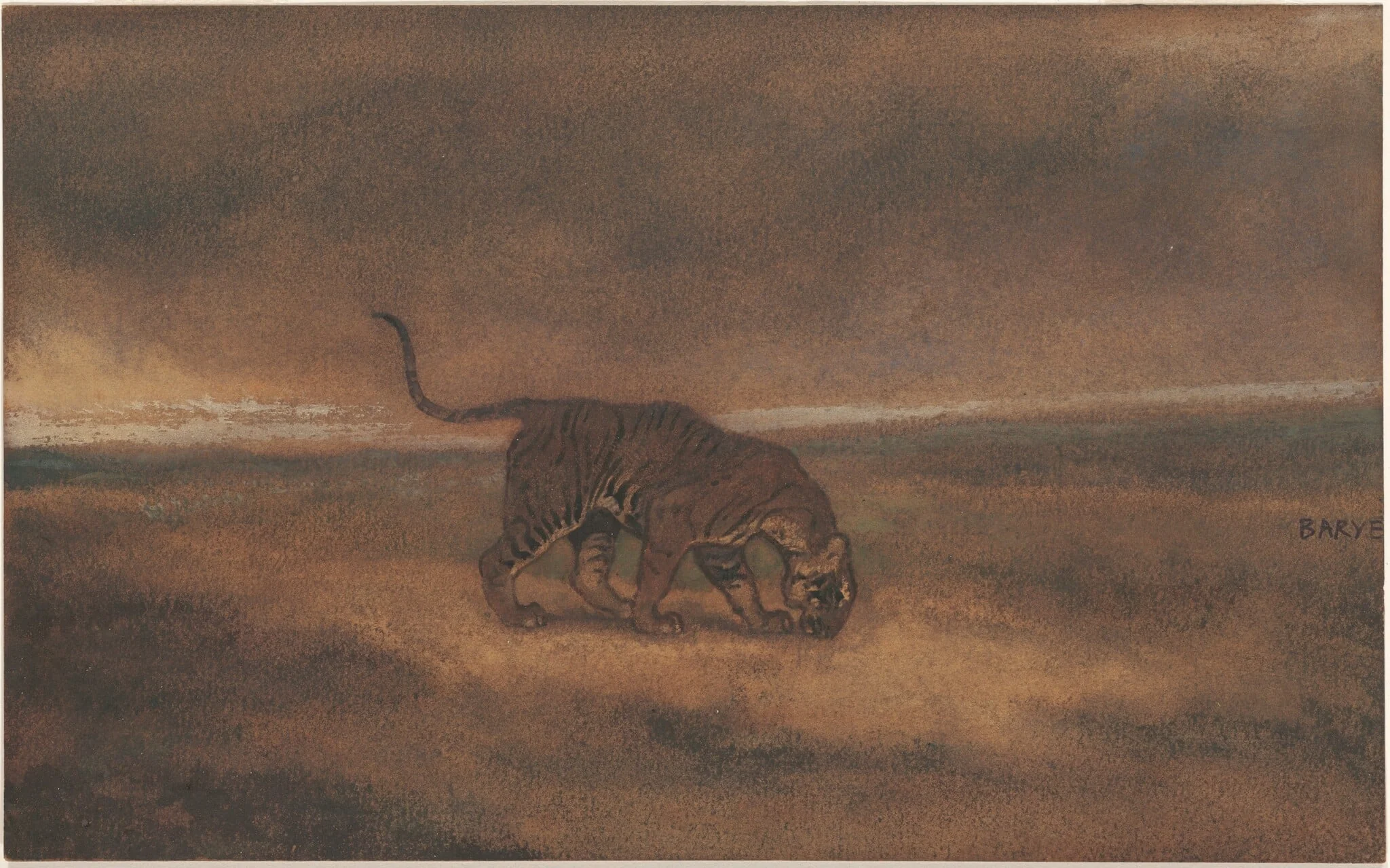 Tiger