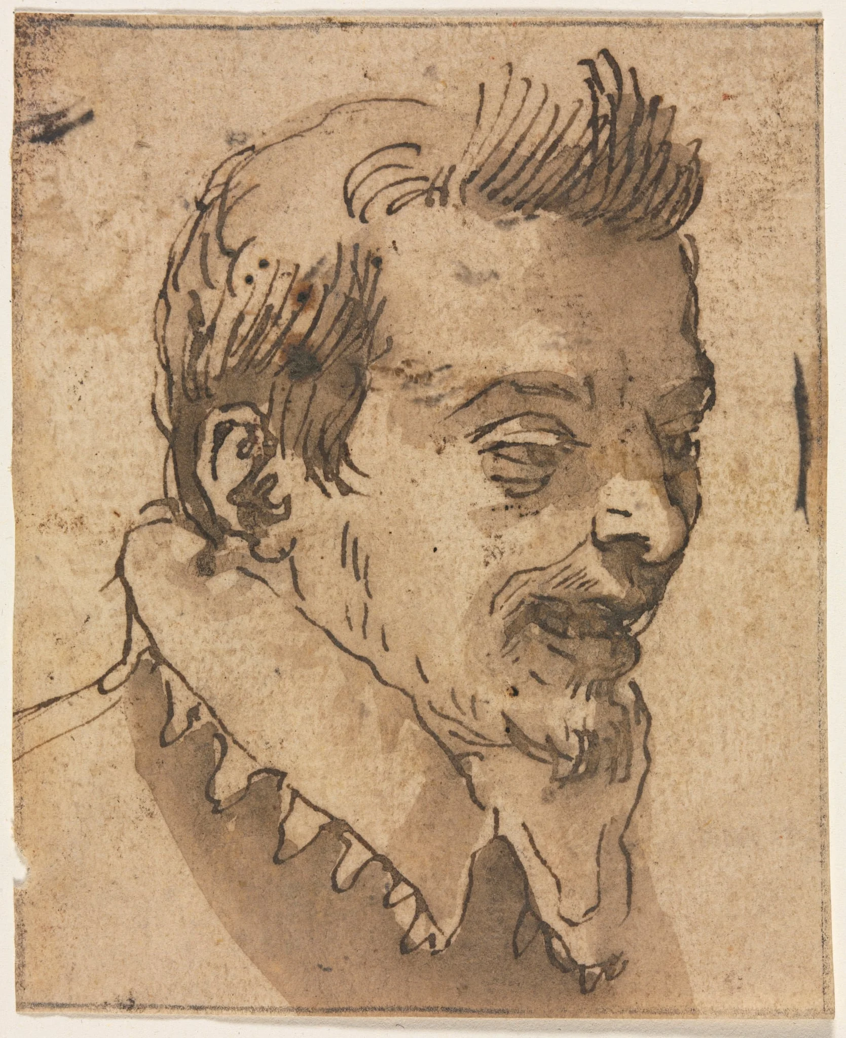 Head of a Man, by Annibale Carracci, 1504