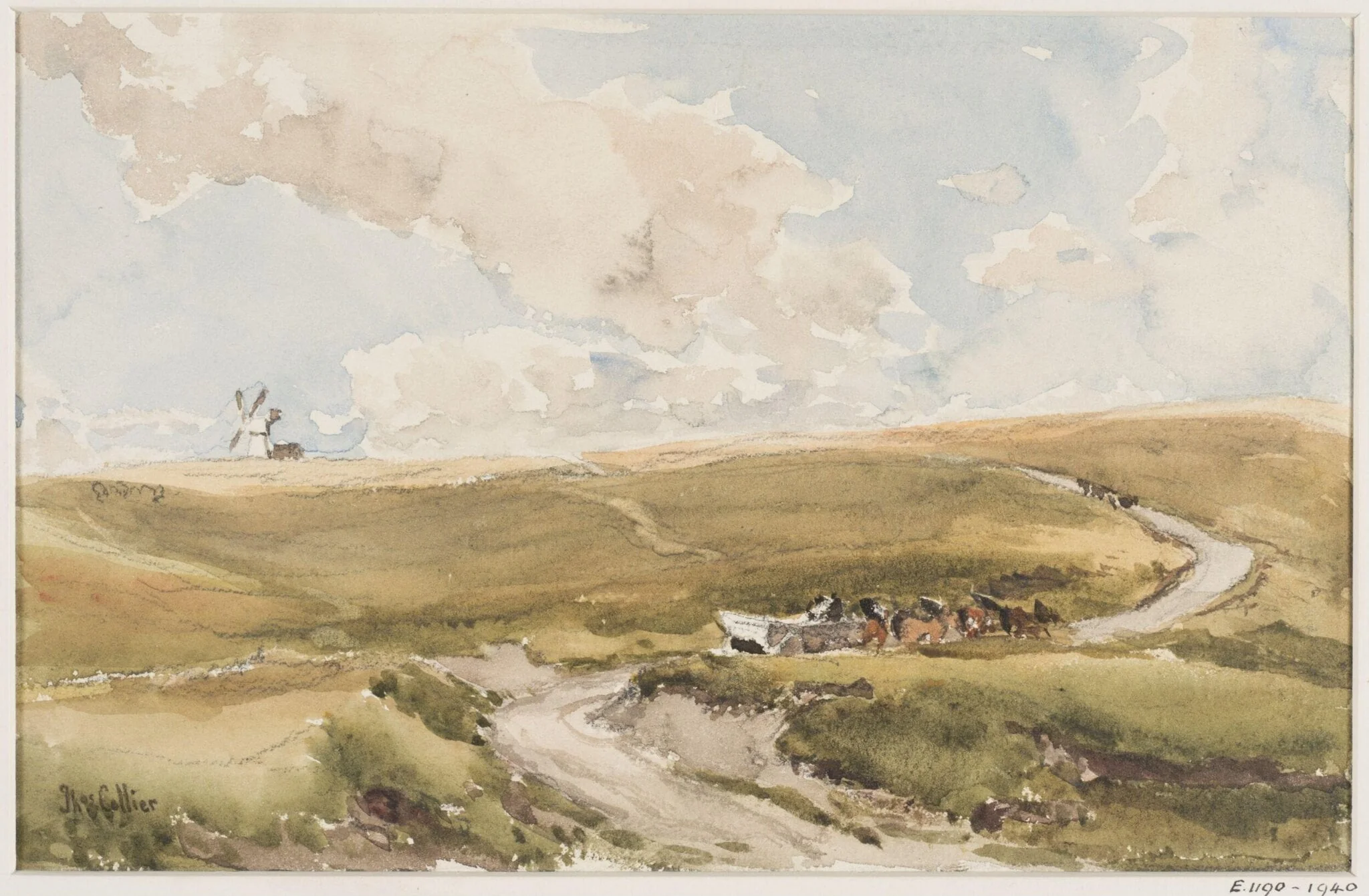 Sussex Downs