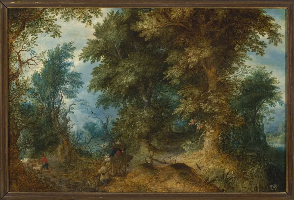 Forest landscape