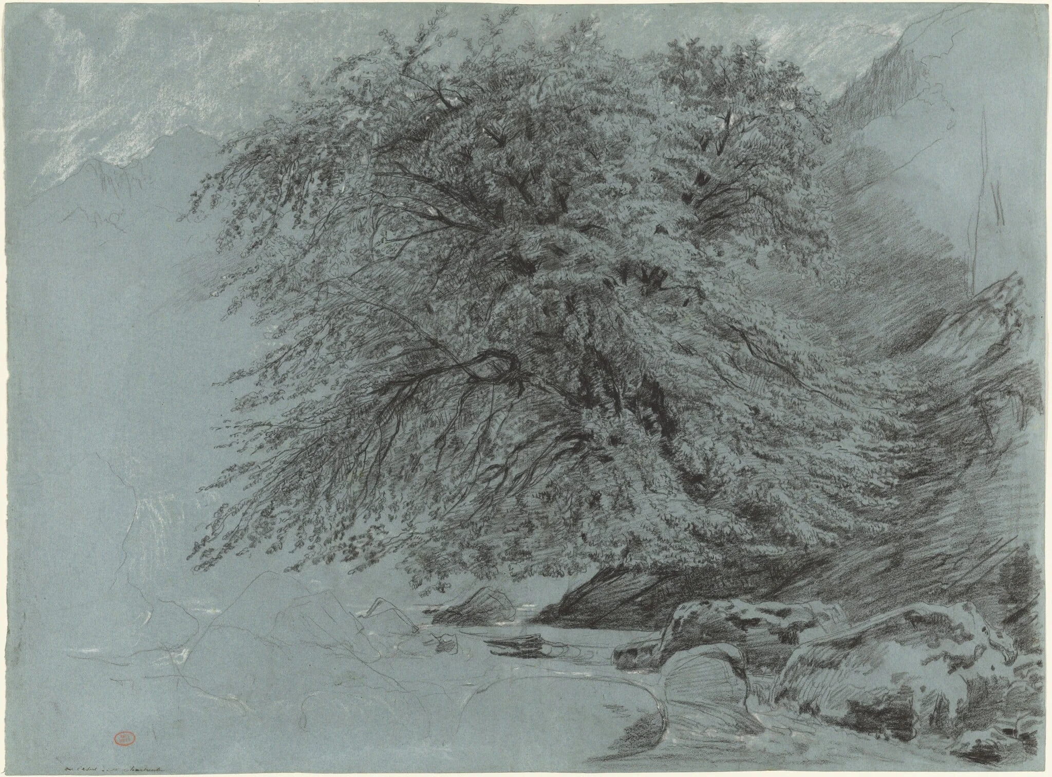A Wild Beech in Full Leaf, by Paul Huet, chalk, 1858