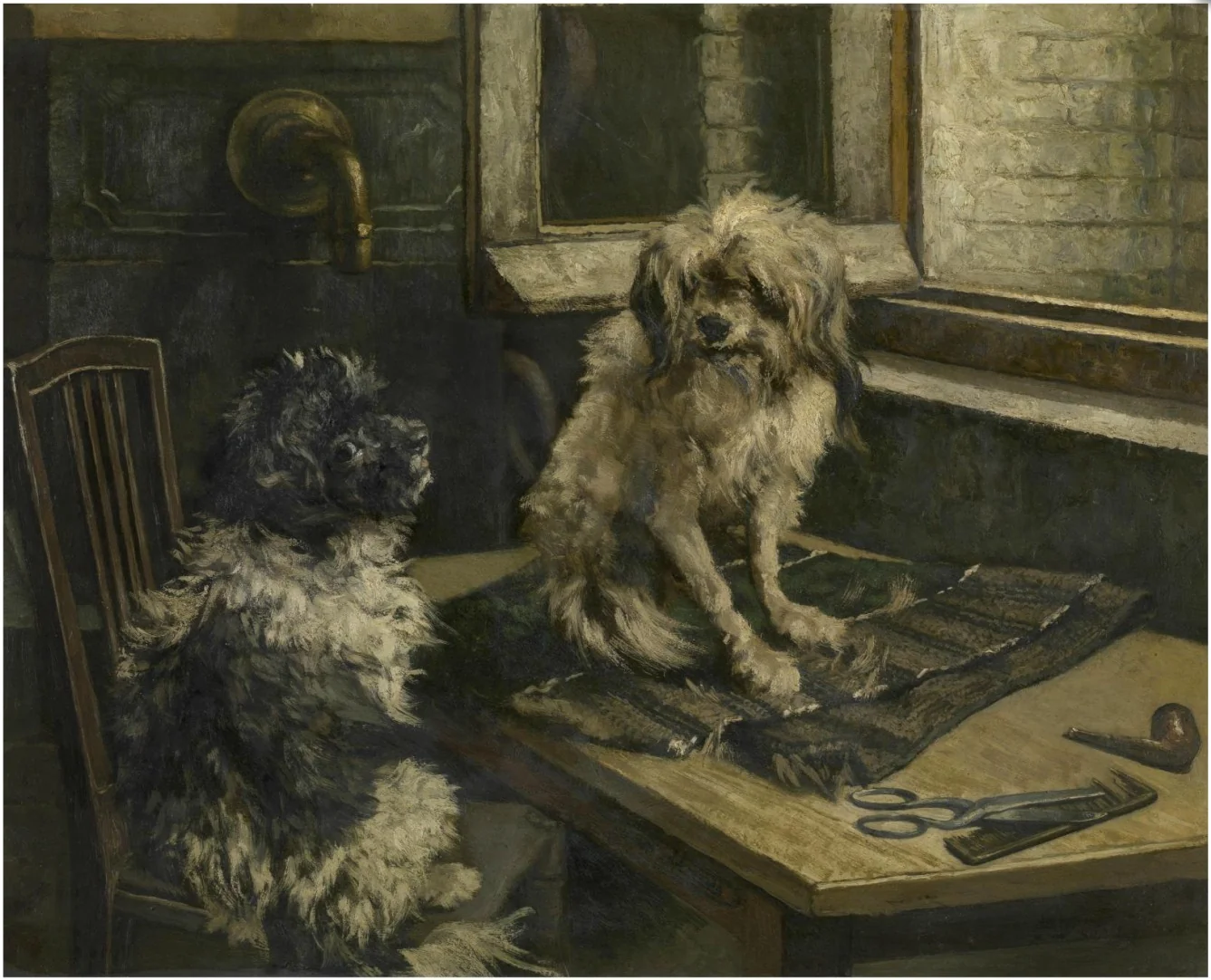 Dogs
