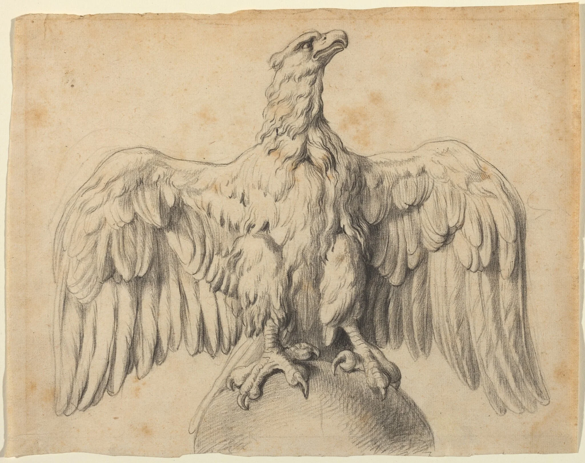 The Capitoline Eagle, by Peter Paul, Sir Rubens, chalk, 1602