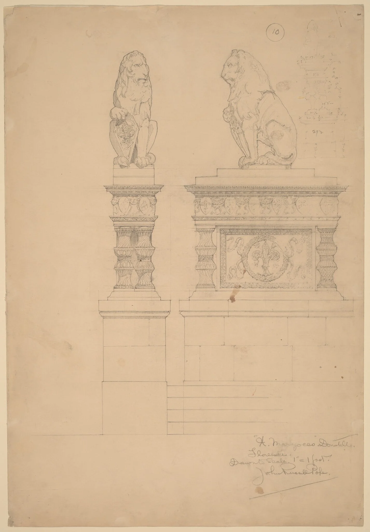 Il Marzocco, Donatello, by John Russell Pope, graphite, 1896