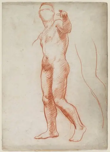 Standing Male Nude