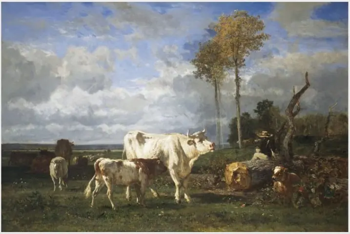 Valley of the Tocques