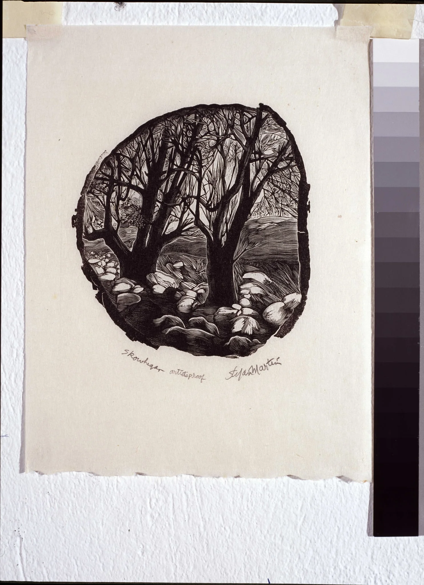 Skowhegan, by Stefan Martin, 1975