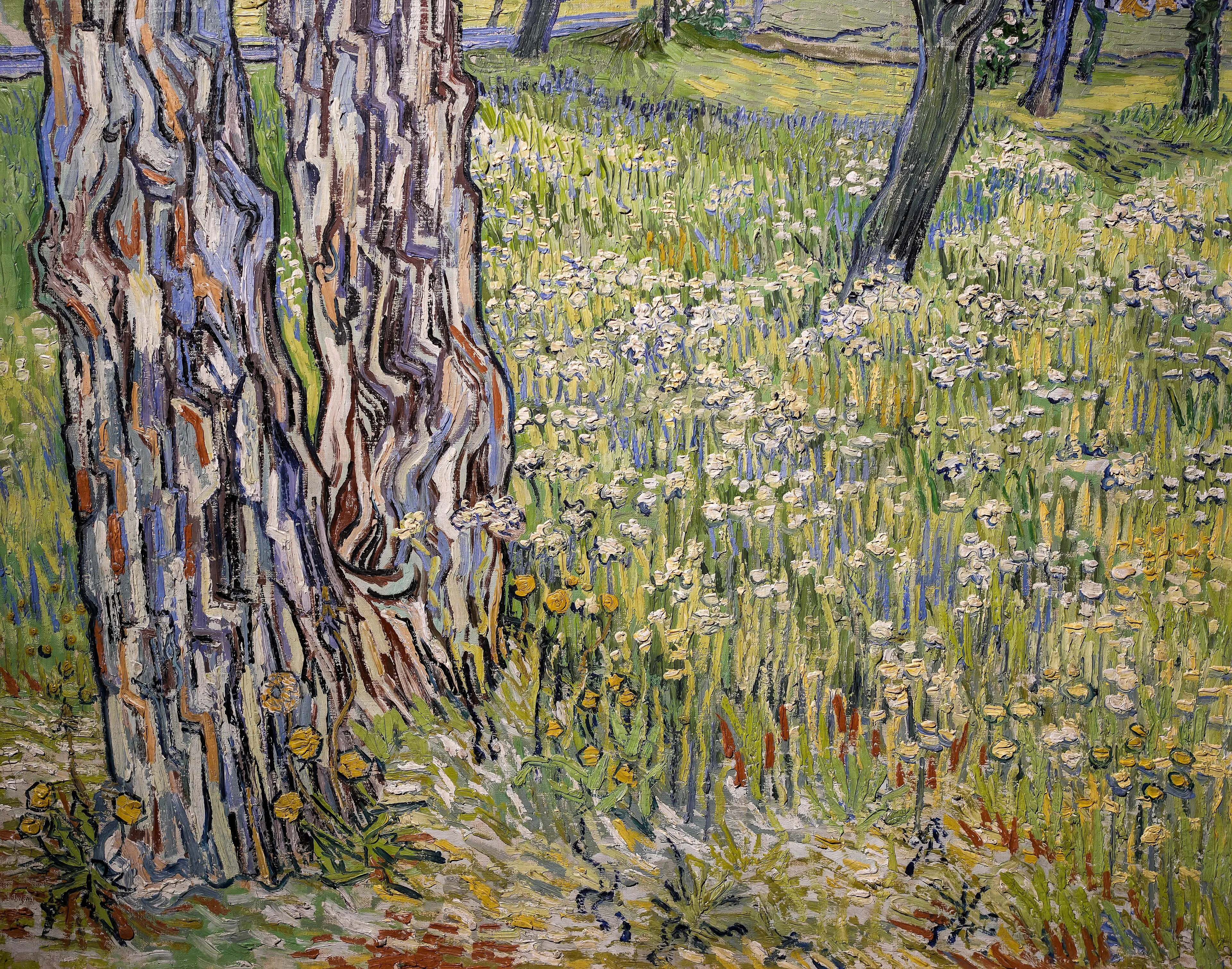 Flowering meadow with trees and dandelions