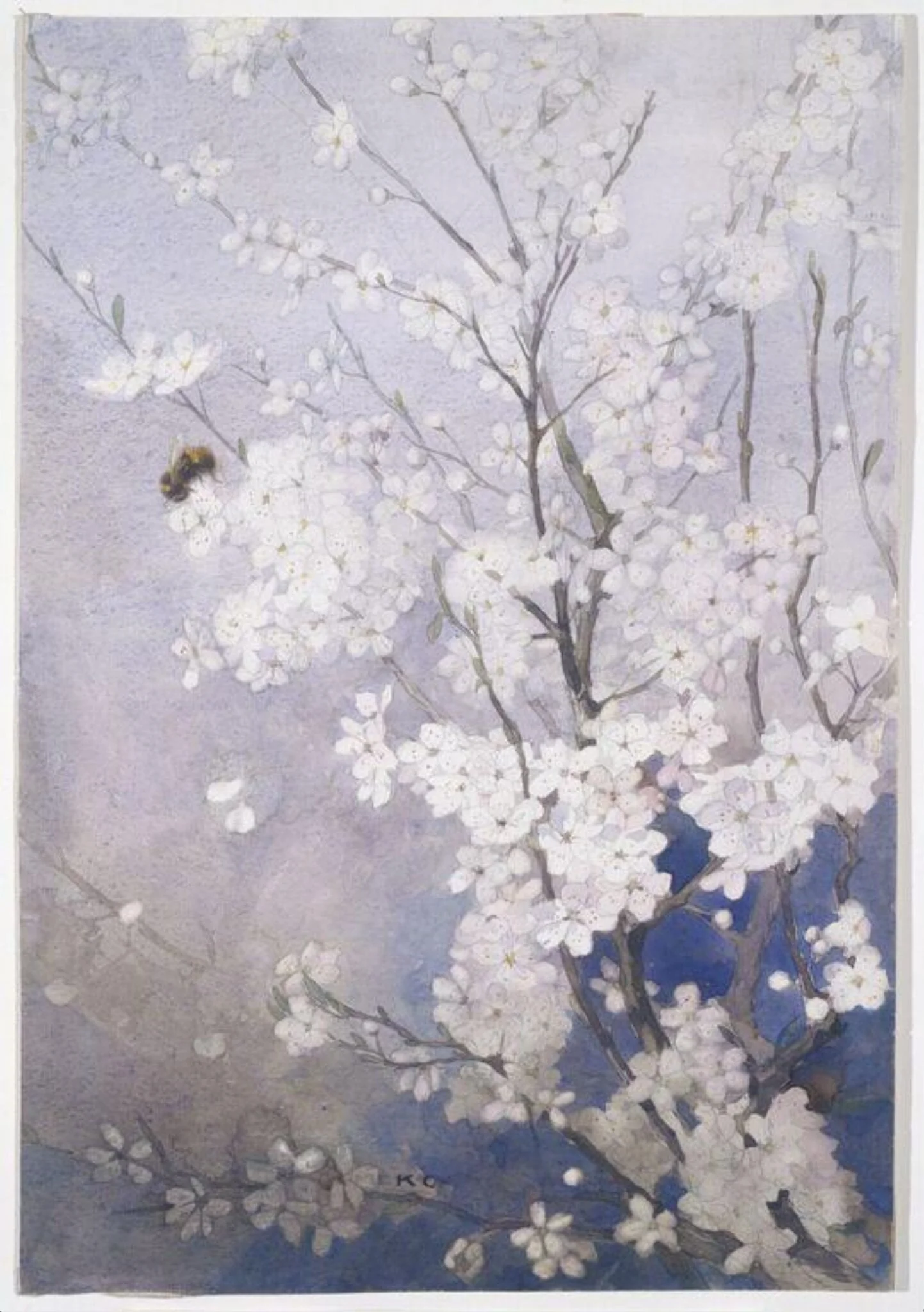 Plum Blossom, by Katharine Cameron, watercolor, 1950