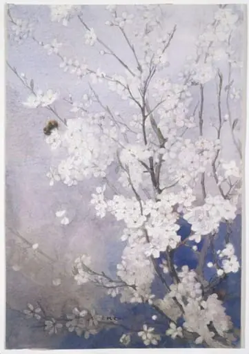 Plum Blossom