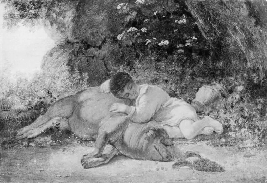 Two Friends. A Boy Sleeping beside a Pig