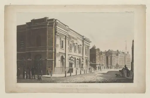 H Beard Print Collection