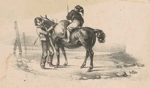Youths and a Horse