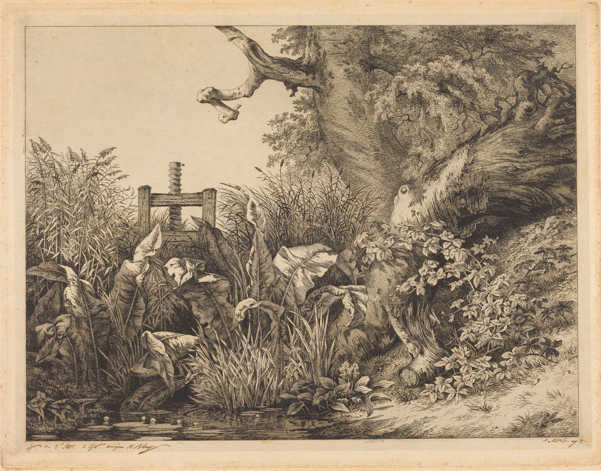 Water Dock and Brambles at a Sluice, by Eugène Bléry, ink, 1843