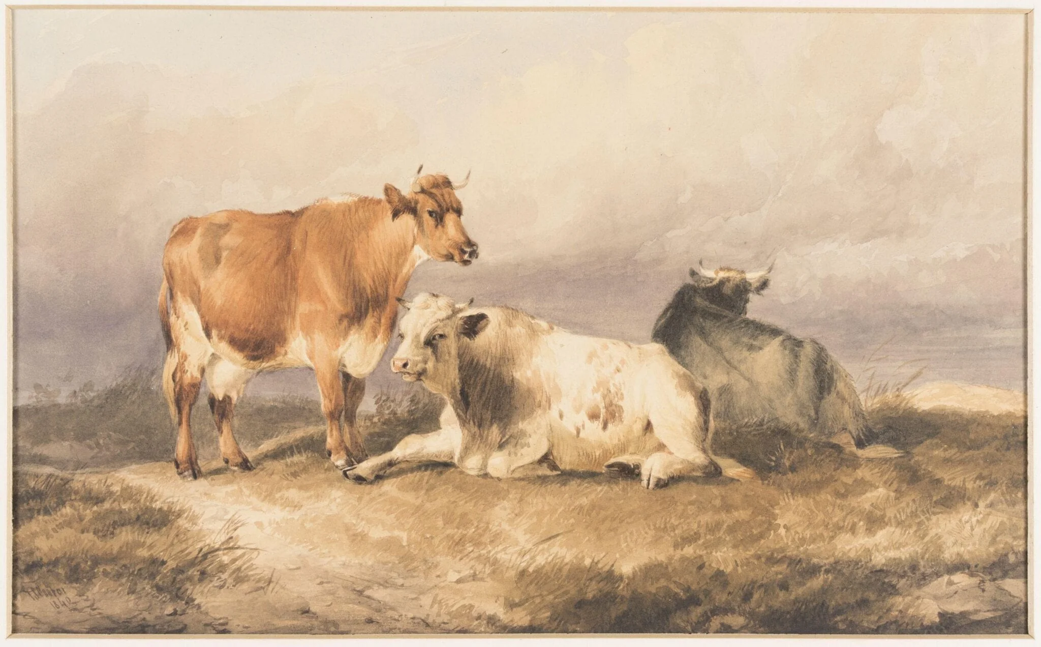 Cattle