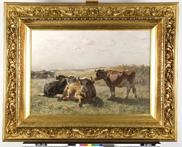 Early Morning: Cows in a Field