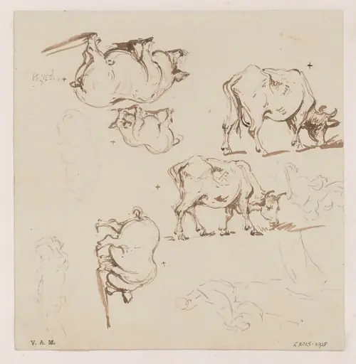 Pigs and cows