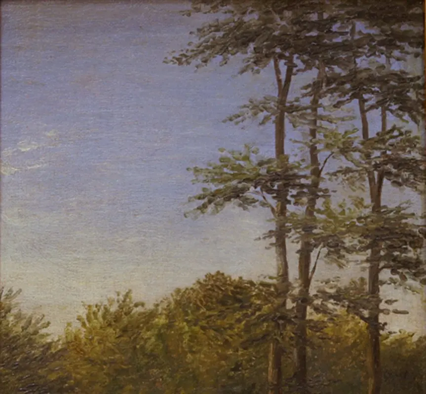 Study of Undergrowth and Tall Trees, Funen