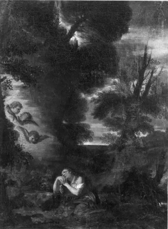 Q29920313