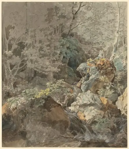 Waterfalls in a Mountain Forest