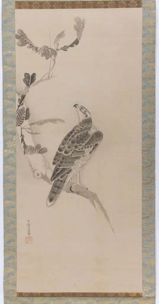 Hawks (Taka zu)