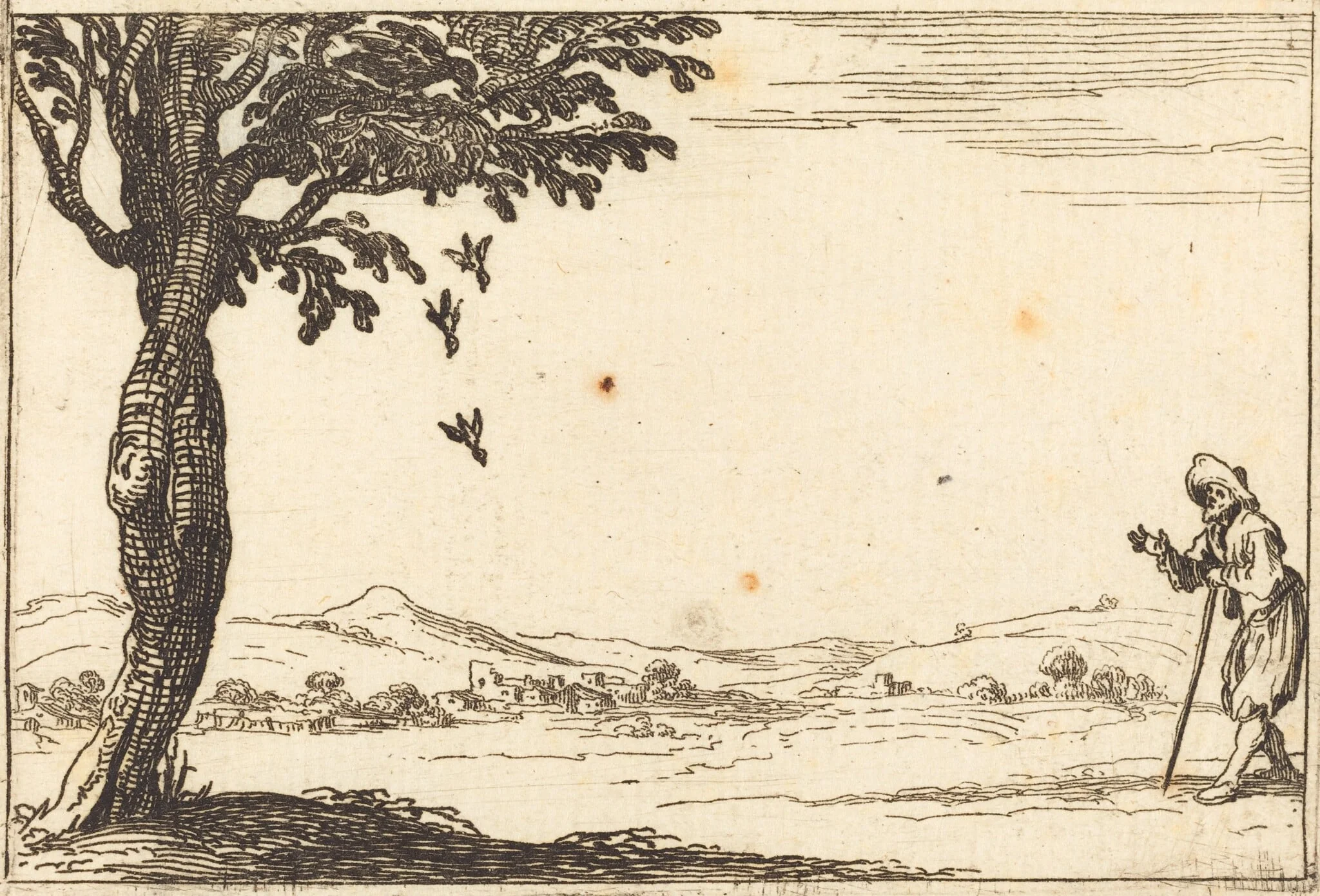 The Crow and her Young, by Jacques Callot, ink, 1628