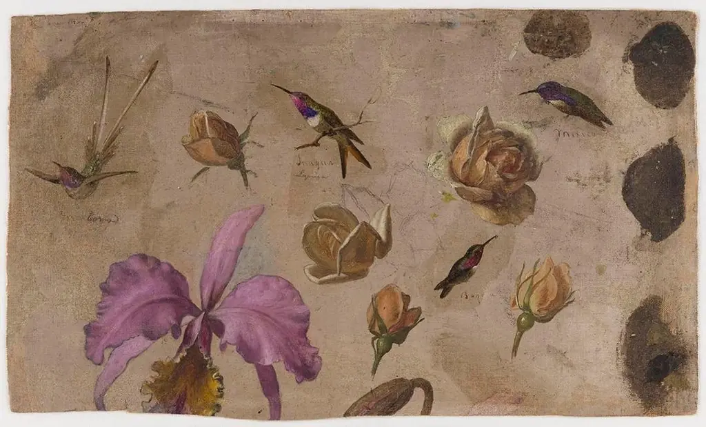 Study of Four Hummingbirds with Roses and an Orchid