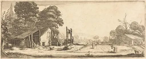 The Garden