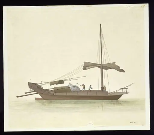 Oyster Shells Boat