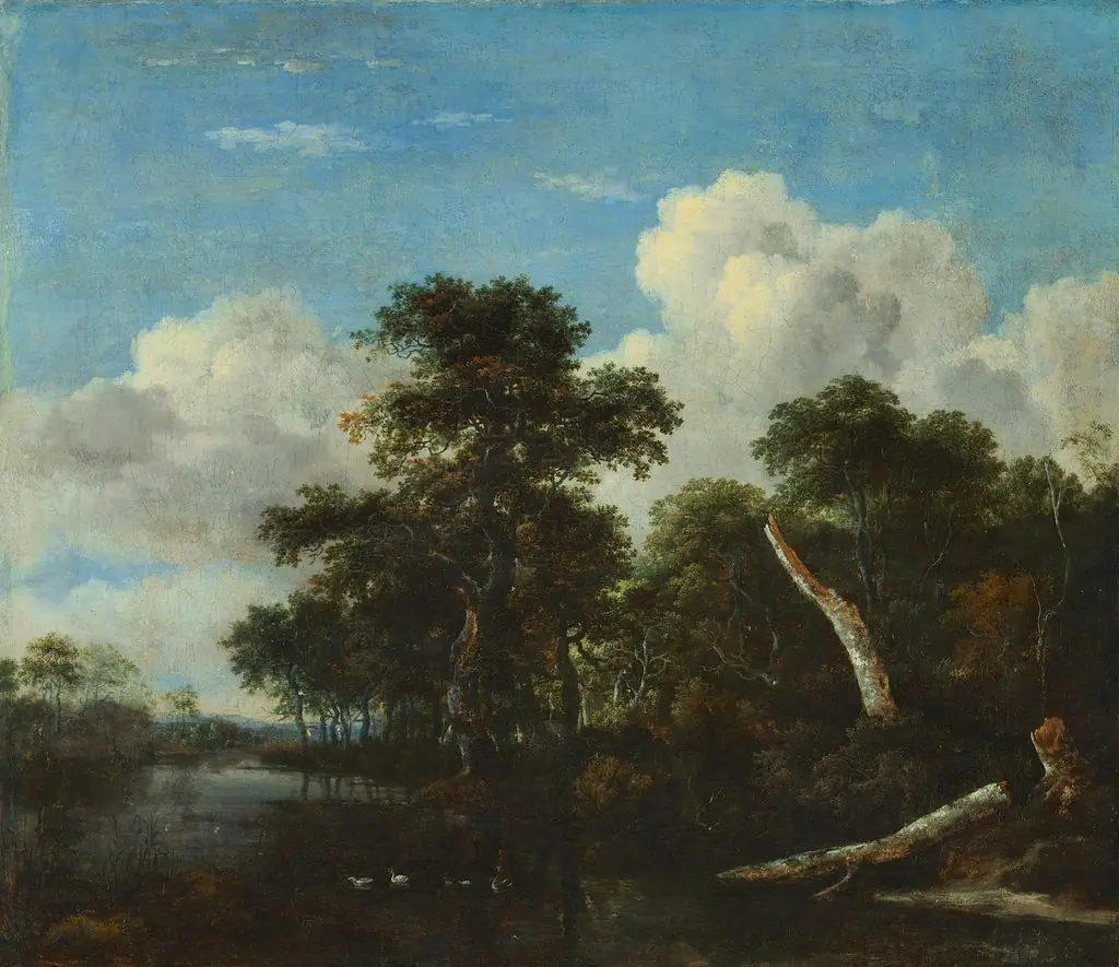 Forest thicket