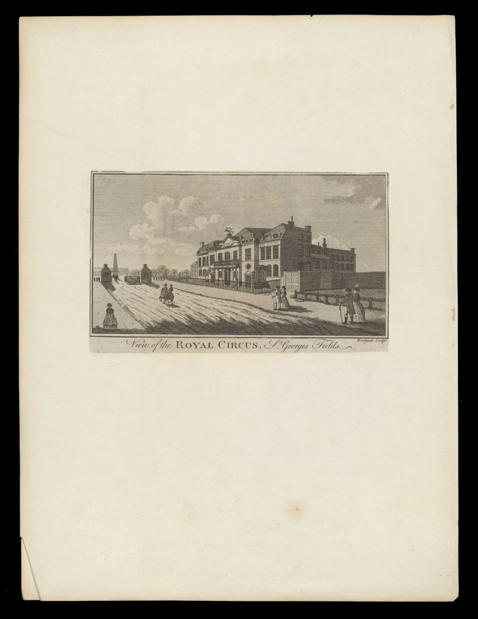 H Beard Print Collection