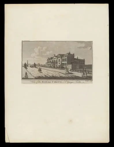 H Beard Print Collection