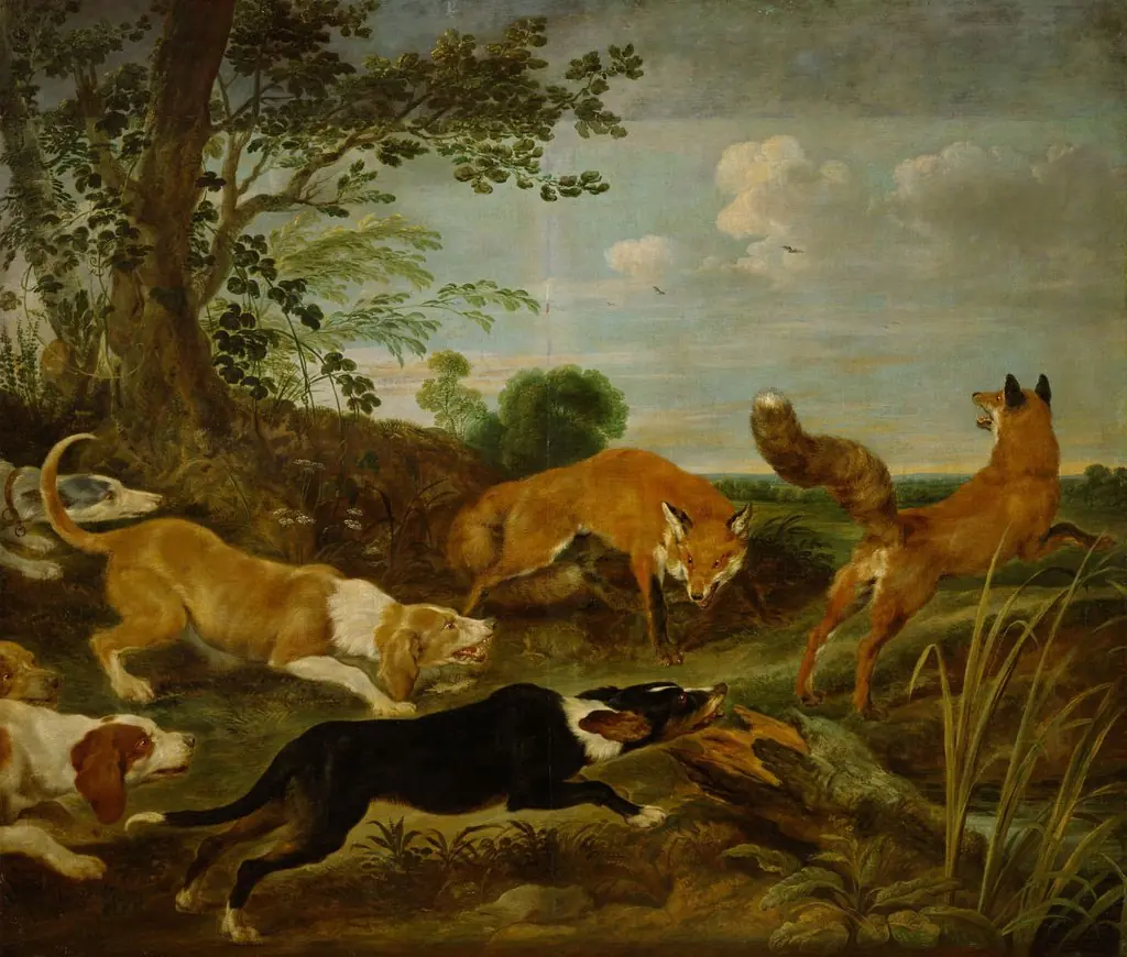 Fox hunt