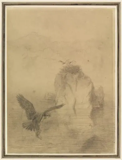 The Island Sanctuary