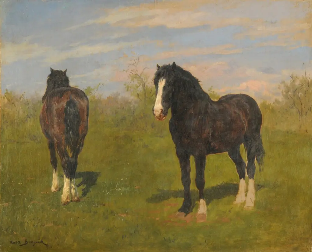 Horses grazing